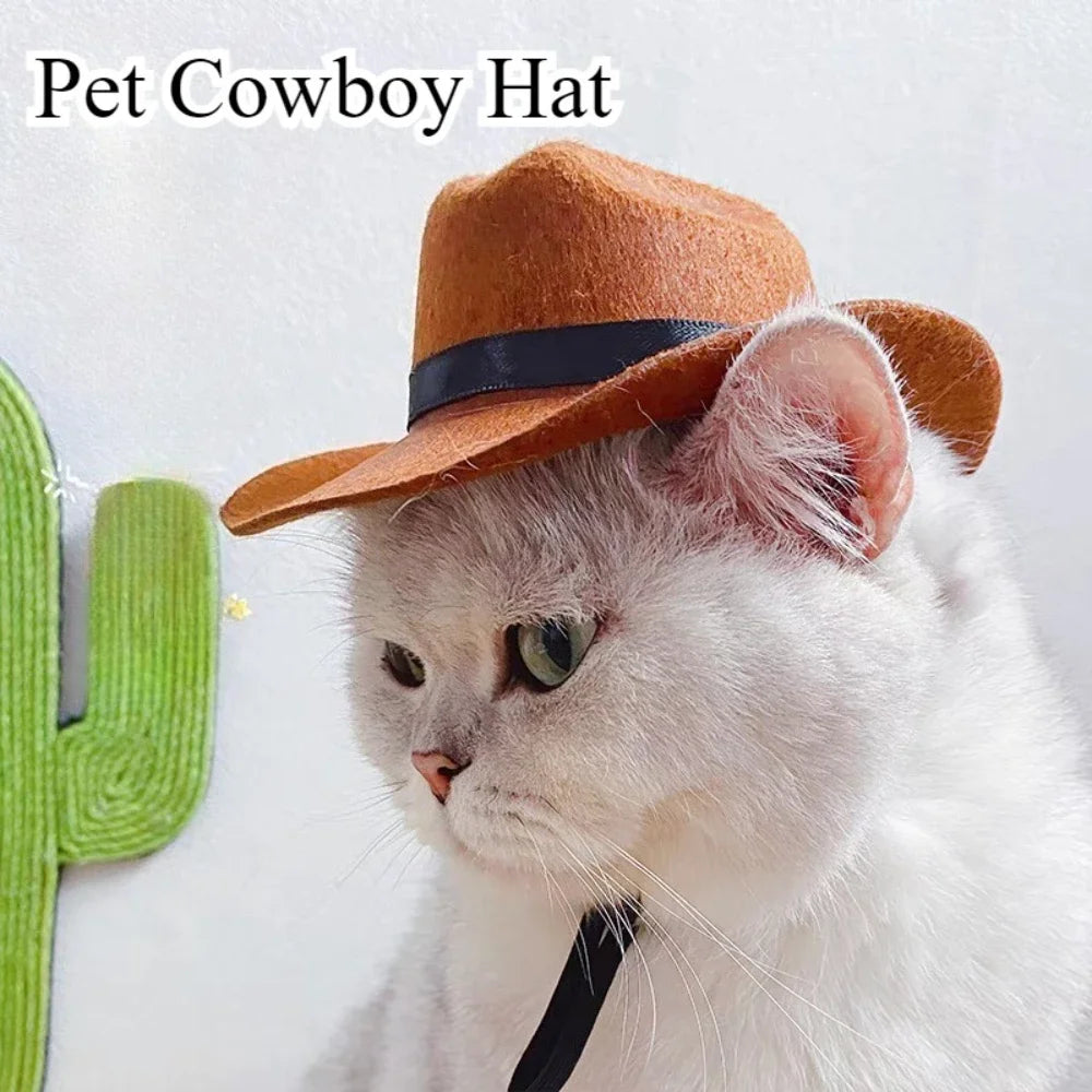 Cowboy hat