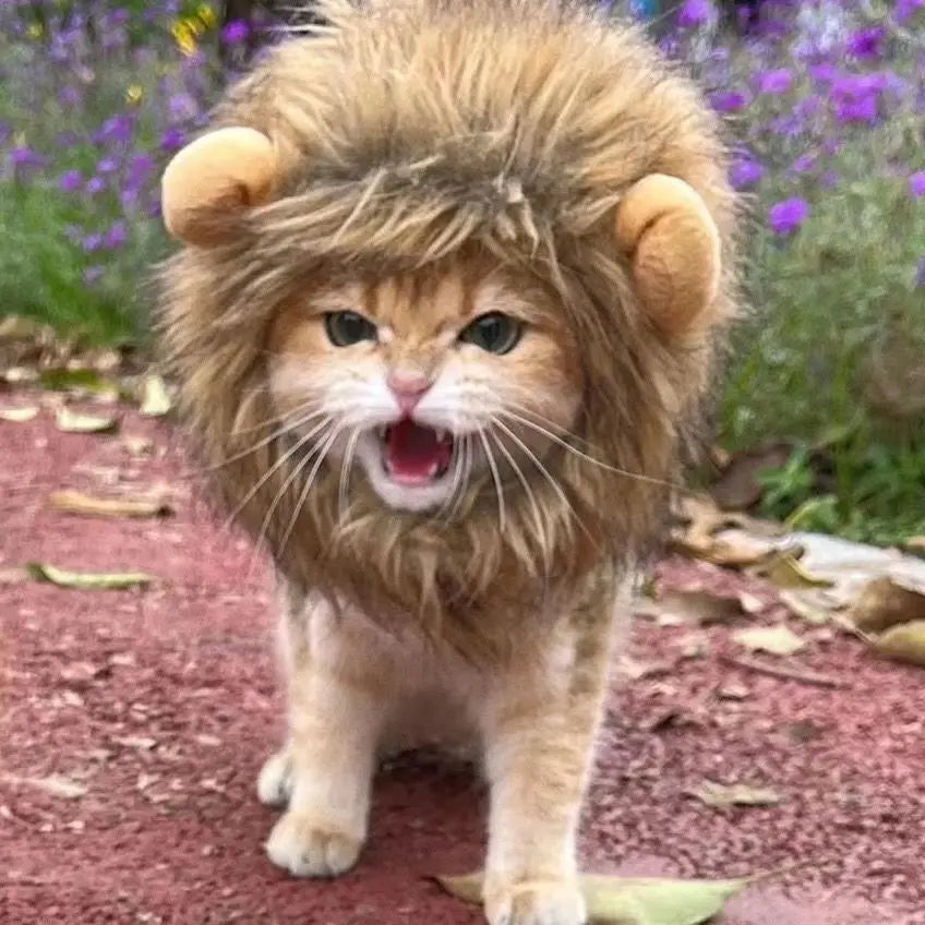 Lion Hat