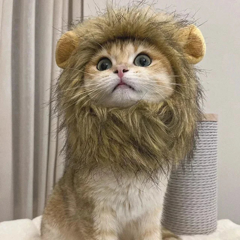 Lion Hat
