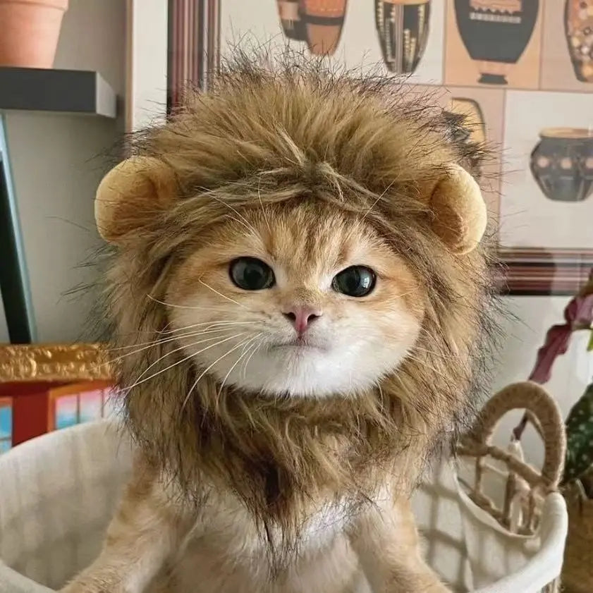 Lion Hat