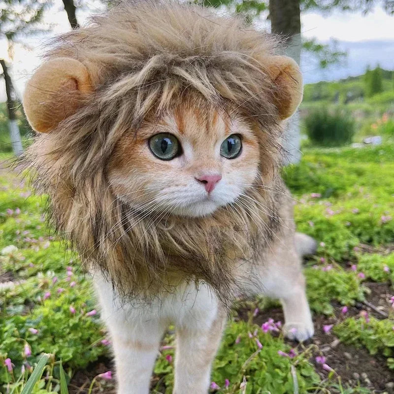 Lion Hat