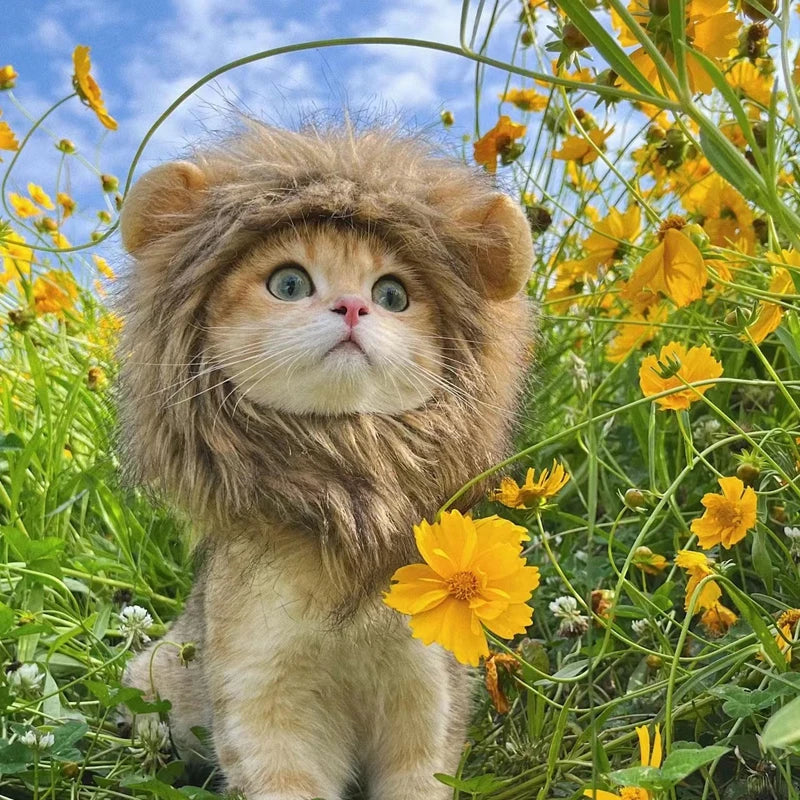 Lion Hat