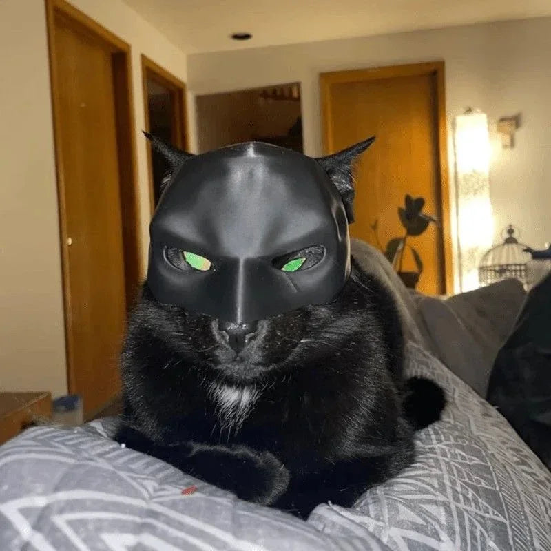 Cat Bat Mask