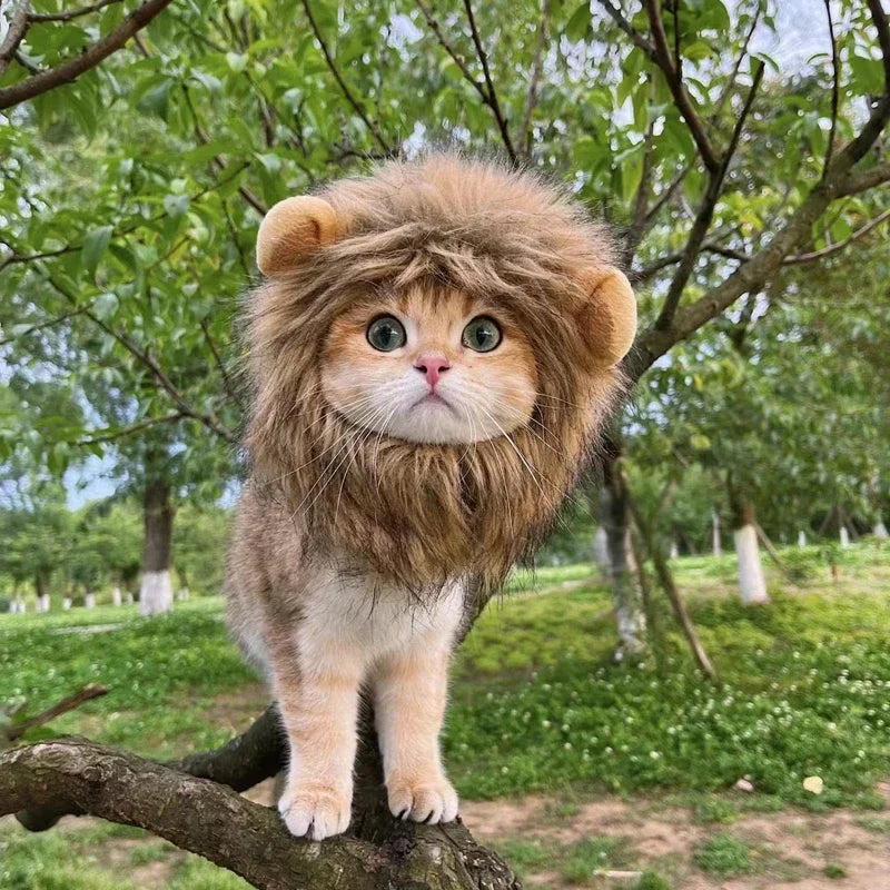 Lion Hat