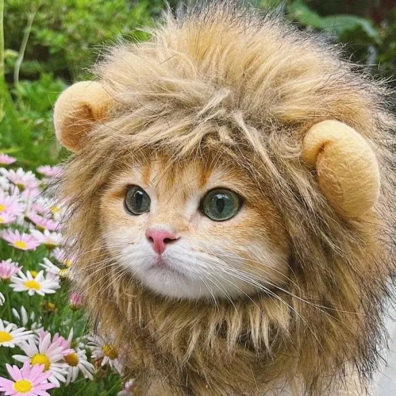 Lion Hat